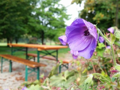 Foto: Hof-Biergarten Grenzebach